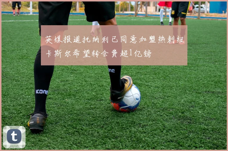 英媒报道托纳利已同意加盟热刺纽卡斯尔希望转会费超1亿镑